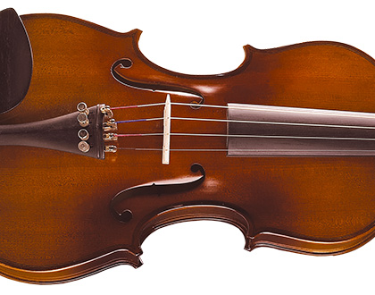 Violino Michael VNM47 4/4 - Ébano Series