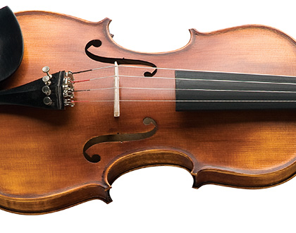 Violino Michael VNM49 4/4 - Ébano Series