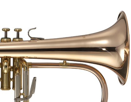 Flugelhorn Michael WFHM45 Bb – Laqueado, niquelado e cobreado